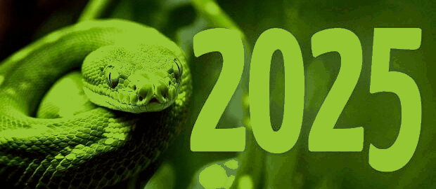 Zielony wąż Szczęśliwego Nowego 2025 Roku